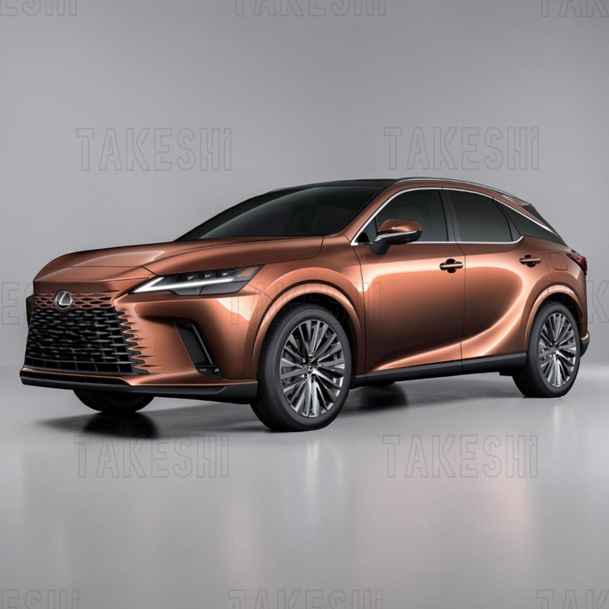 TAKESHI 武藤車藝｜LEXUS 凌志｜專車專用菱格紋地毯腳踏墊