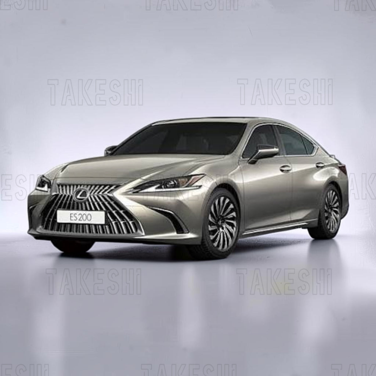 TAKESHI 武藤車藝｜LEXUS 凌志｜專車專用菱格紋地毯腳踏墊